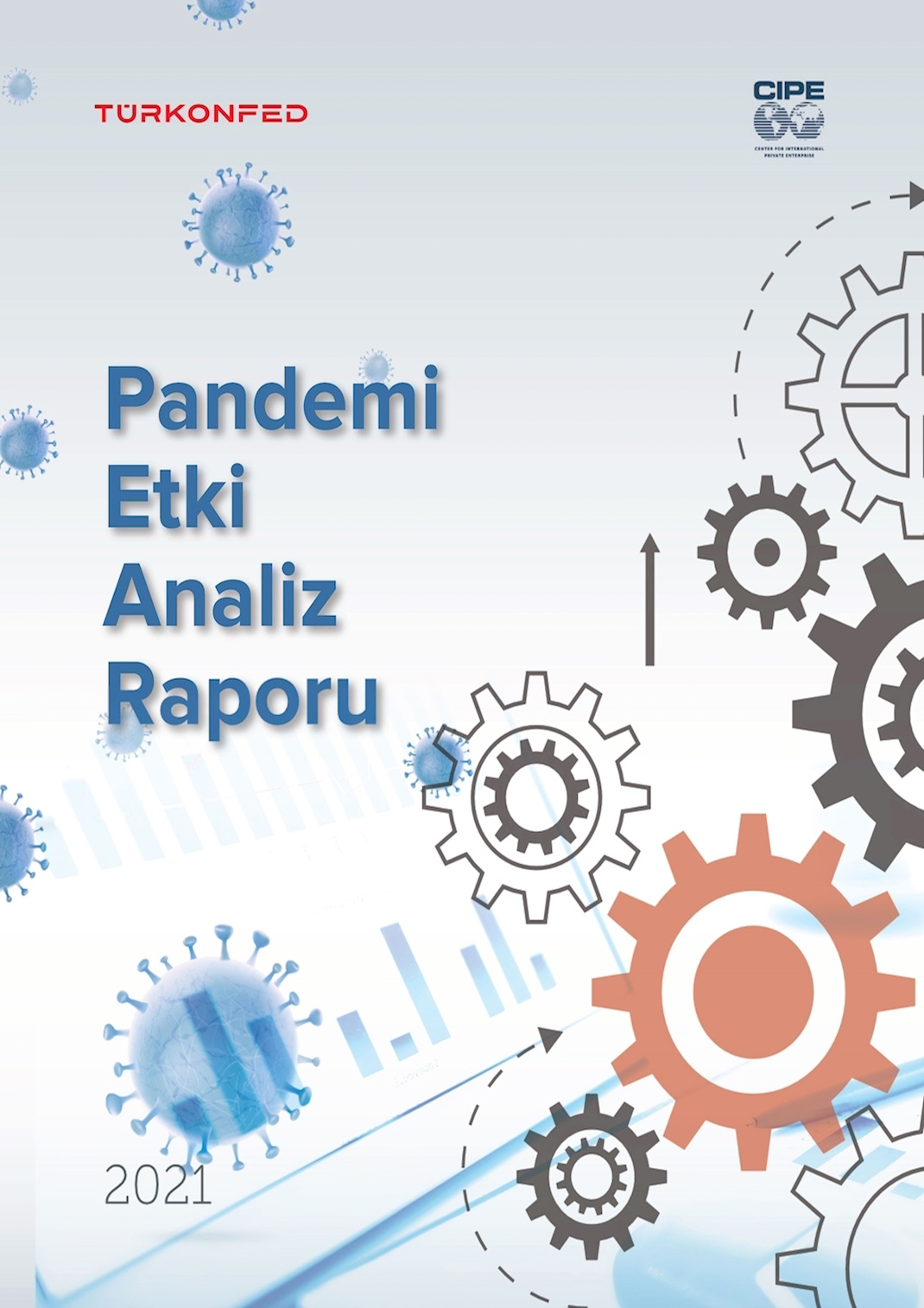 Pandemi Etki Analiz Raporu
